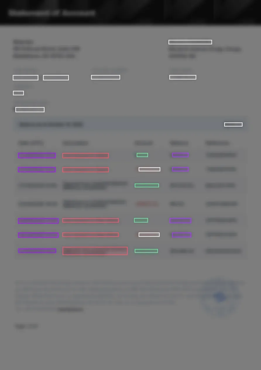 Page 1 of a naira account statement from a payments app, blurred so no word can be read, with coloured boxes over the values at the top and the dates, descriptions and amounts in the table.